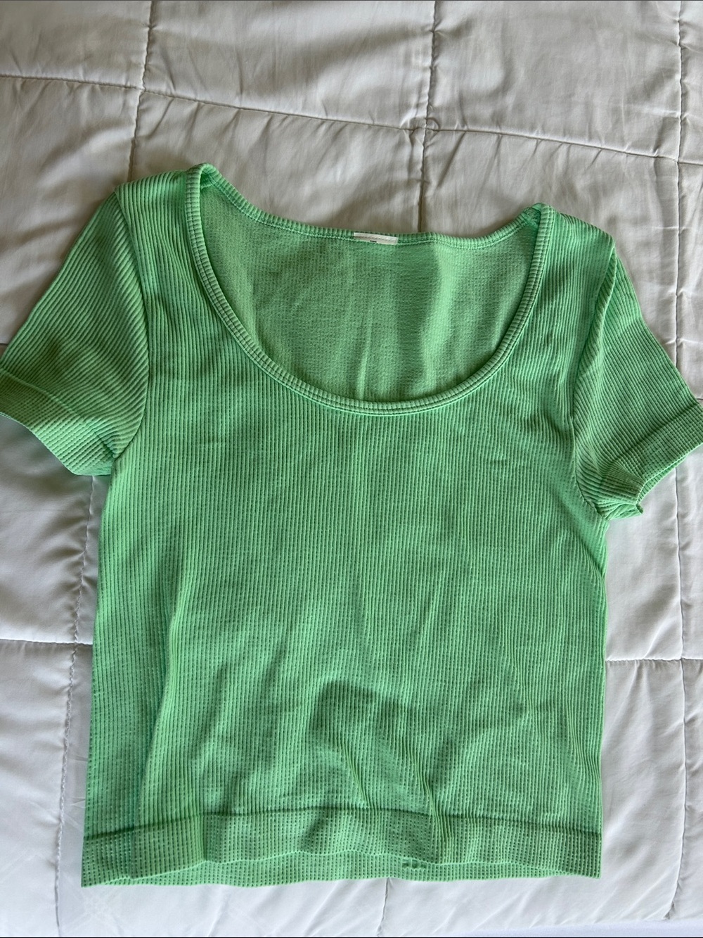 Ribbed Scoop Crop Top in Mint Green
